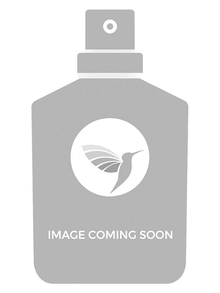 Perfume Asten Monsieur Noir Edp 100Ml Unisex - Inspirado En Louis Vuitton