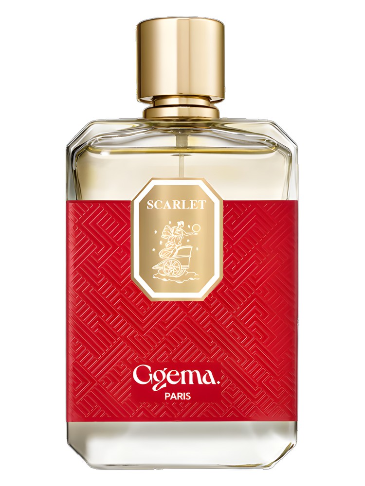 Perfume Bharara Scarlet Edp 100Ml Unisex