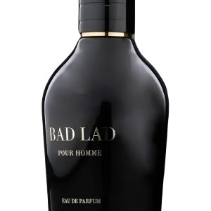 Perfume Fragrance World Bad Lad Pour Homme Edp 100ml Hombre-Inspirado En Bad Boy Carolina Herrera