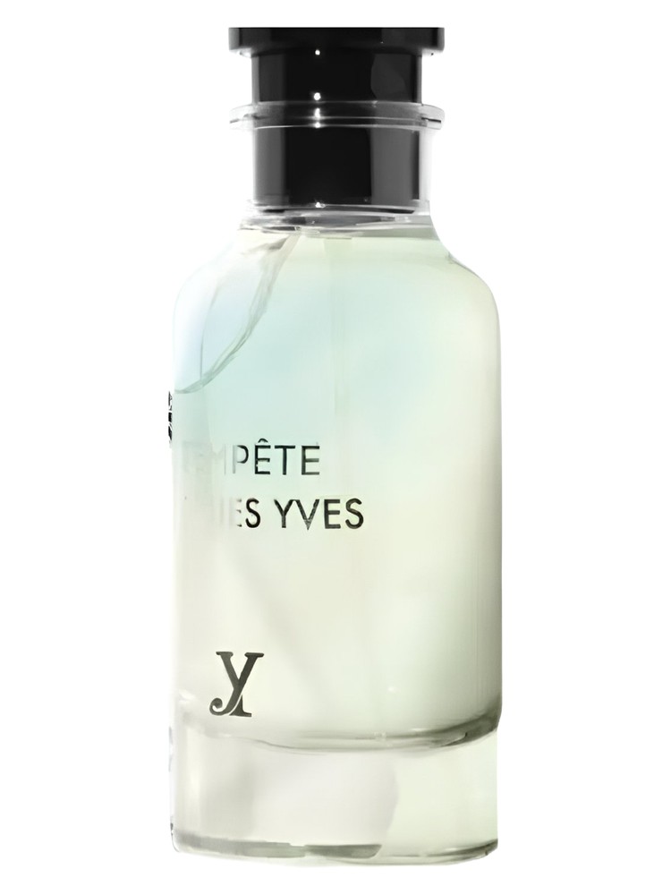 Perfume Fragrance World Jacques Yves Tempete Edp 100ml Unisex-Inspirado En Orage Louis Vuitton
