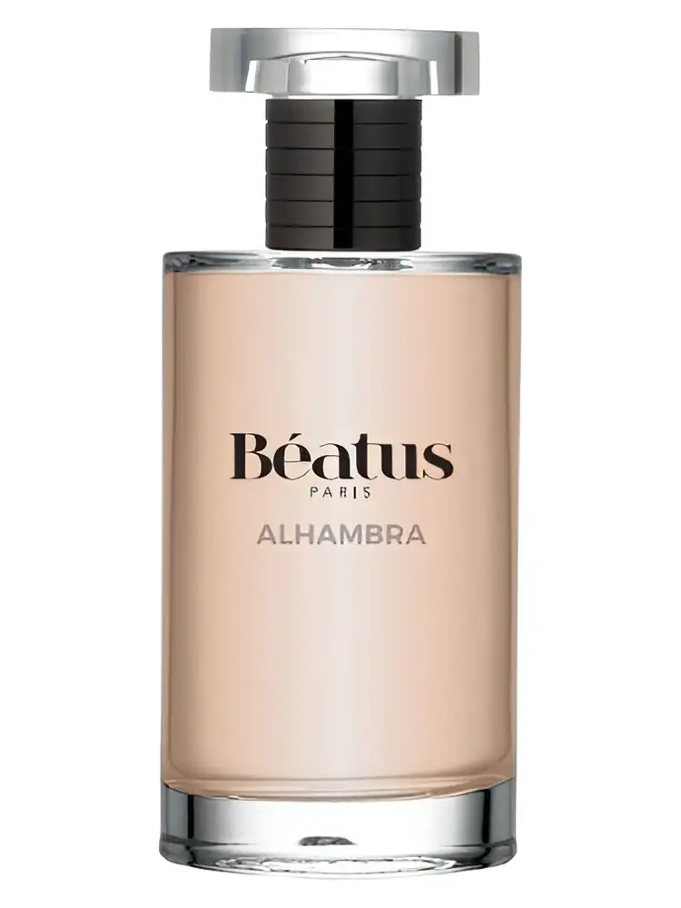 Perfume Maison Alhambra Anarch Edp 100Ml Unisex Unisex - Inspirada En Kirke Tiziana Terenzi